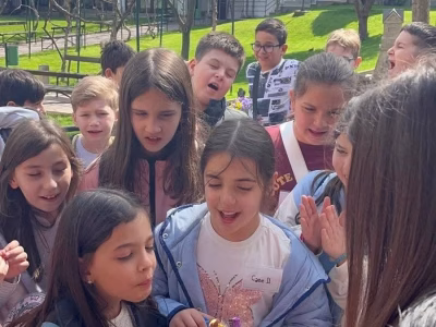 IMG-87b5802b83461bbe6d8bbd300ea2bbee-V